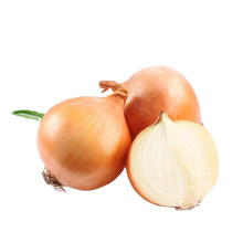 2021 Fresh high quality 10kg/20kg Mesh Bag red  Onions yellow onion unpeeled